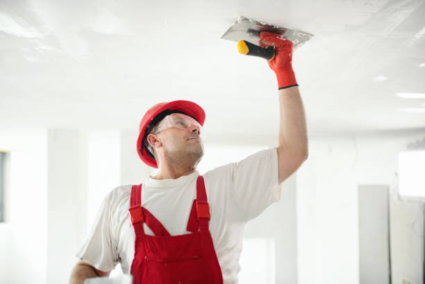 Best Ceiling Drywall Installation  in Avoca, IA